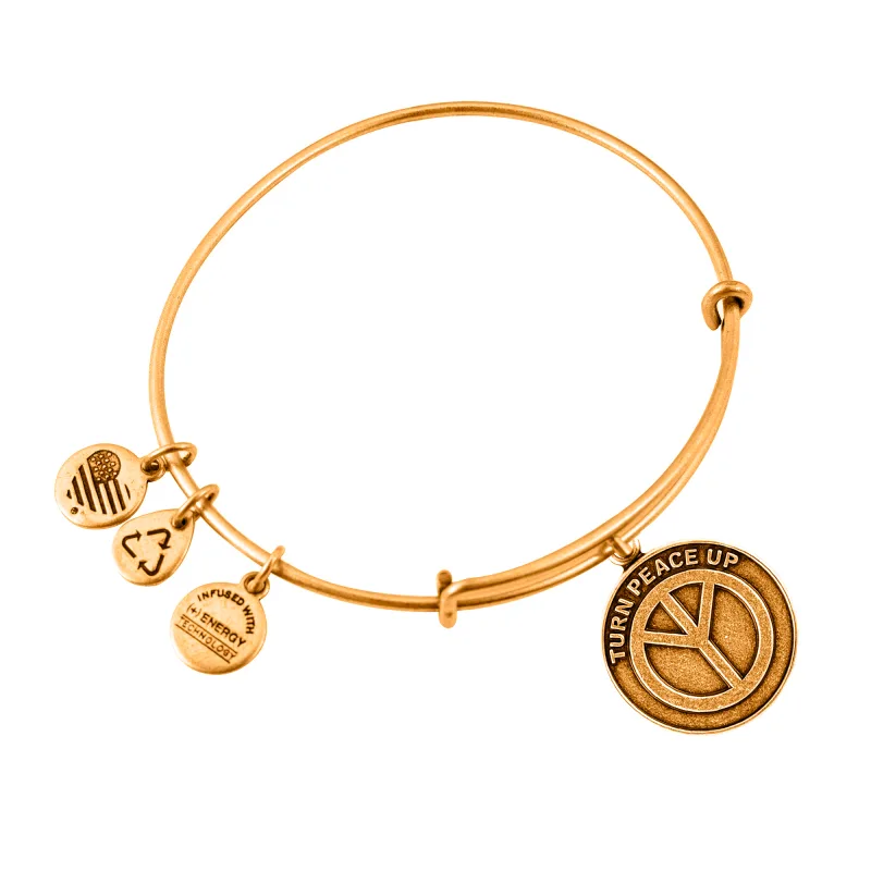 Dámsky Náramok ALEX AND ANI A12EB11RG (19-25CM )