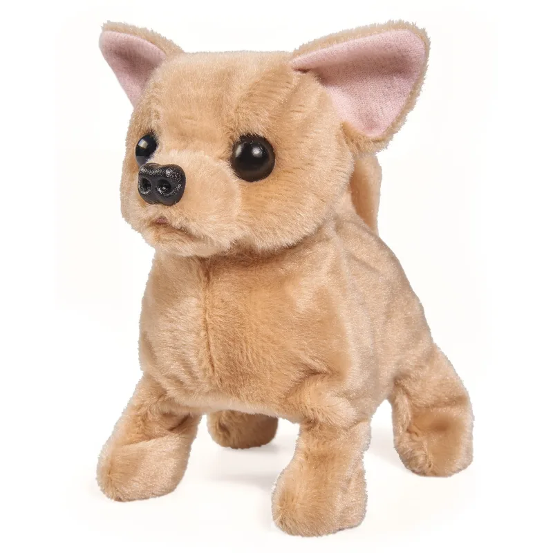 Simba ChiChi Love Simba Chi Chi Love Čivava šteňa