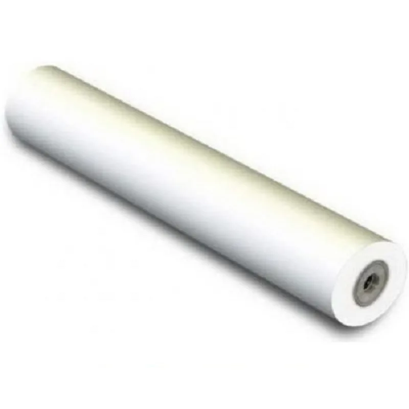 EPSON Premium Glossy Photo Paper 170g/m2, 16,5"x30,5 m C13S042076