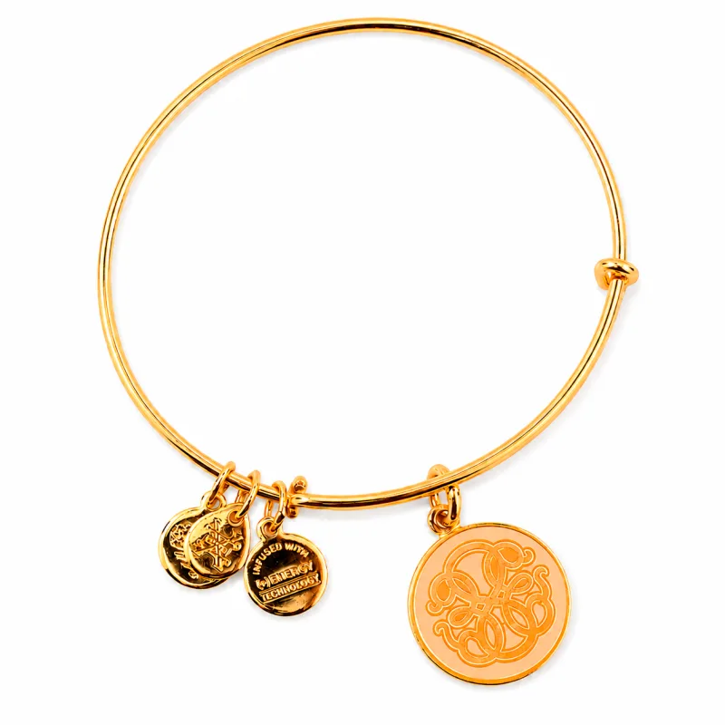 Dámsky Náramok ALEX AND ANI A16EBPOLYG (20CM )
