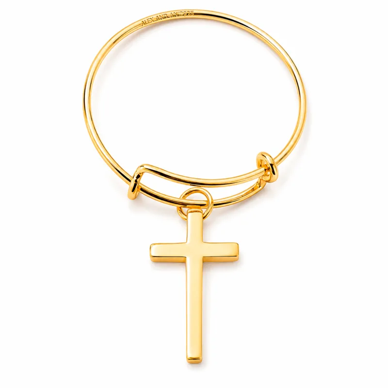Dámsky Prsteň ALEX AND ANI PC14SER05G (55 )