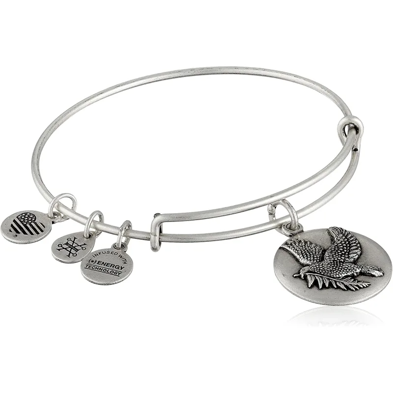 Dámsky Náramok ALEX AND ANI A16EBSDRS (17,5CM )