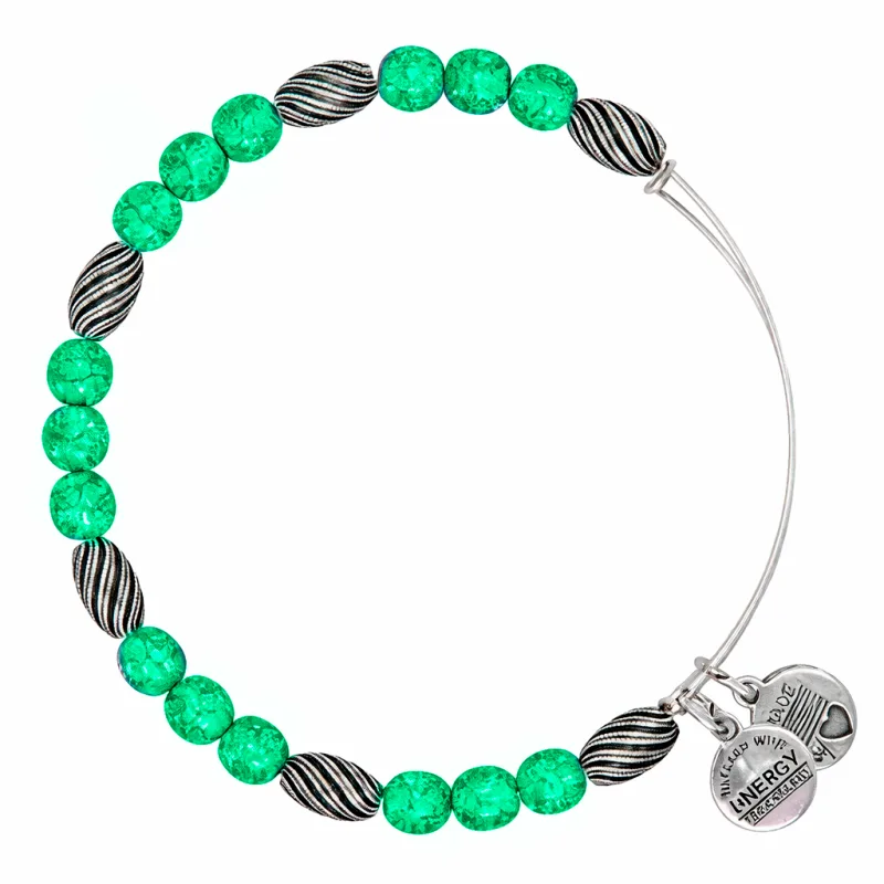 Dámsky Náramok ALEX AND ANI A12EB159RS (19-25CM )