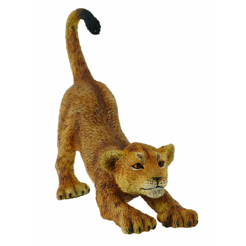 collecta Levíča