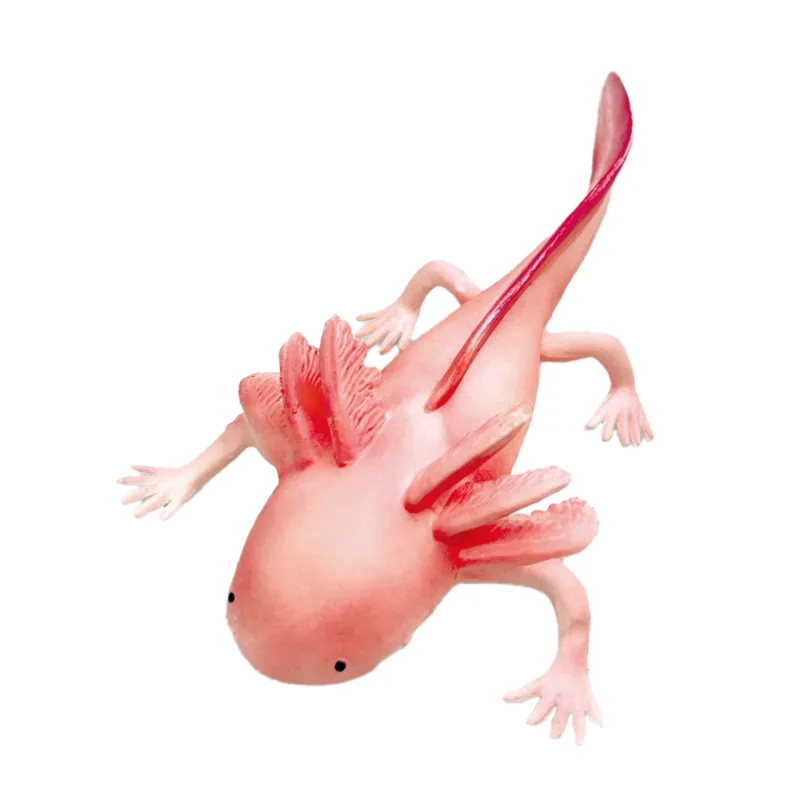Rappa Axolotl 19 cm