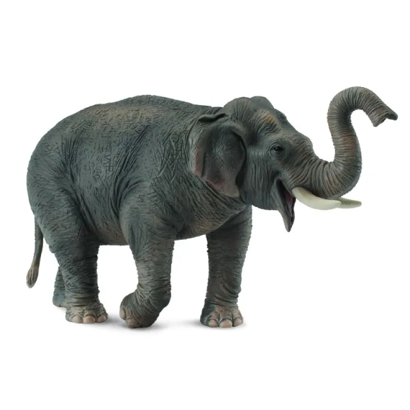 Collecta Animals collecta Slon ázijský