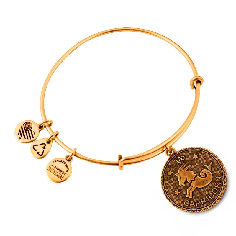 Dámsky Náramok ALEX AND ANI A07EB40CARG (19-25CM )