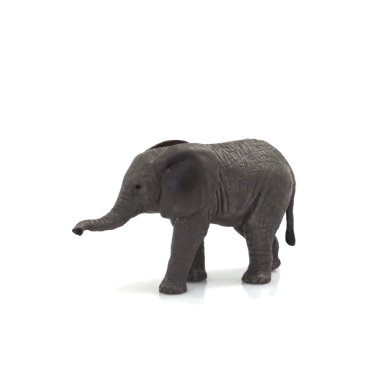 Mojo Mojo Slon africký sloníča
