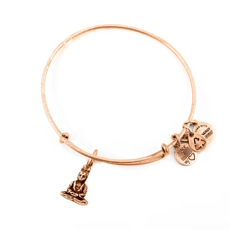 Dámsky Náramok ALEX AND ANI A11EB106RG (19-25CM )