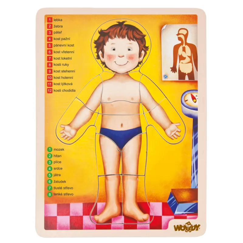 Woody Puzzle - ľudské telo