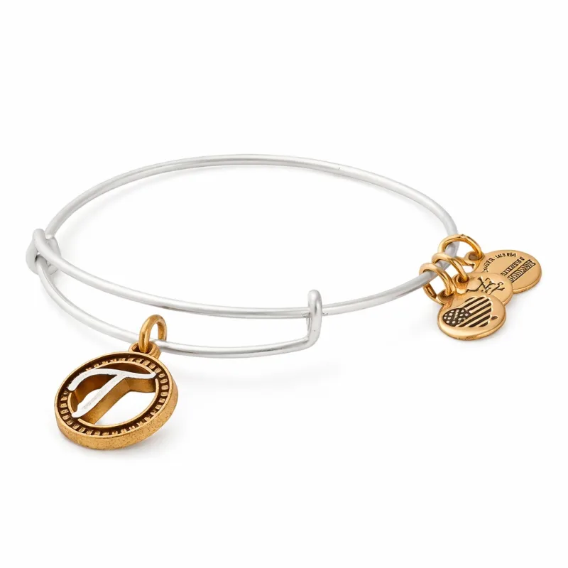 Dámsky Náramok ALEX AND ANI A18EBINT20TTR (25CM )