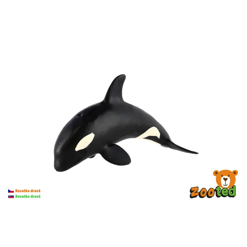 ZOOted Kosatka dravá zooted plast 12cm