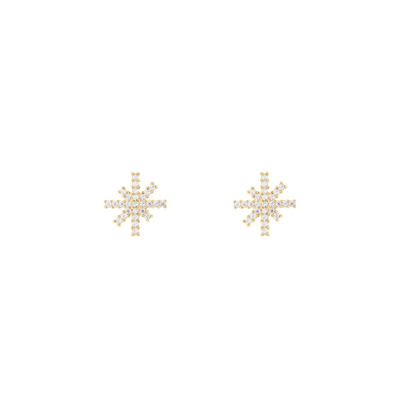 Daniel Wellington dámske náušnice oceľové Mirelle Star DW00401611
