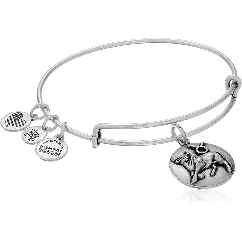 Dámsky Náramok ALEX AND ANI A16EB59RS (17,5CM )