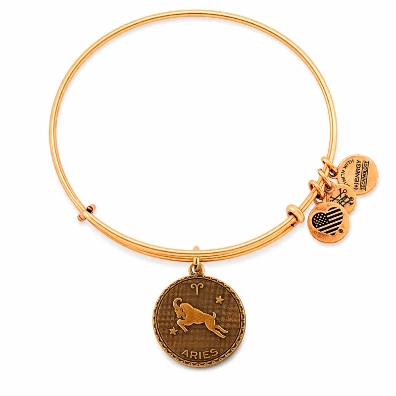 Dámsky Náramok ALEX AND ANI A07EB40ARRG (19-25CM )