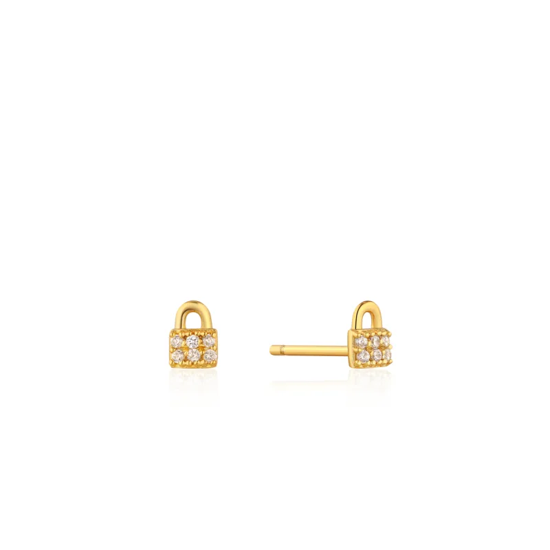 Dámske Náušnice ANIA HAIE DÁMSKE E032-03G (0,5CM )