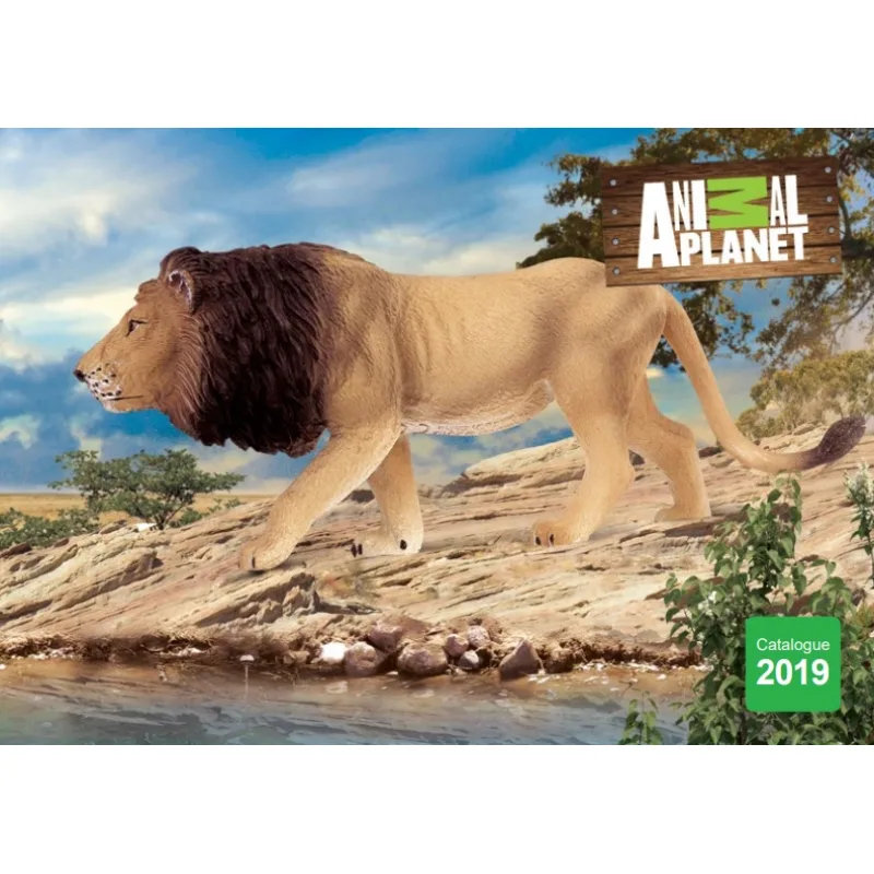 Mojo Mojo Katalóg 2019