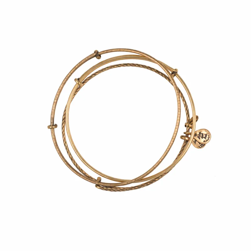 Dámsky Náramok ALEX AND ANI A09EB150RG (19-25CM )