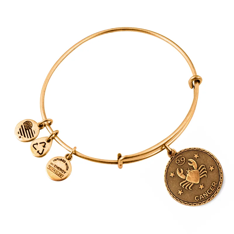 Dámsky Náramok ALEX AND ANI A07EB40CNRG (19-25CM )