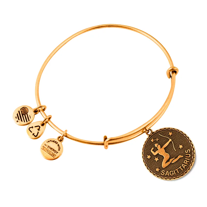 Dámsky Náramok ALEX AND ANI A07EB40SARG (19-25CM )