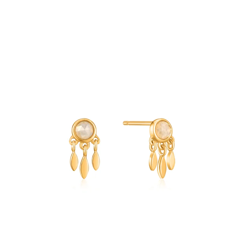 Dámske Náušnice ANIA HAIE DÁMSKE E026-06G (1CM )