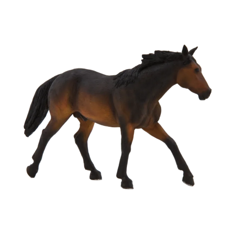 Mojo Mojo Quarter horse hnedák
