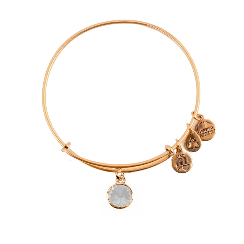 Dámsky Náramok ALEX AND ANI A12EB243RG (19-25CM )