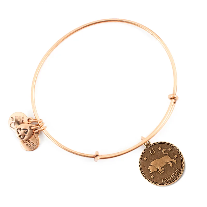 Dámsky Náramok ALEX AND ANI A07EB40TARG (19-25CM )