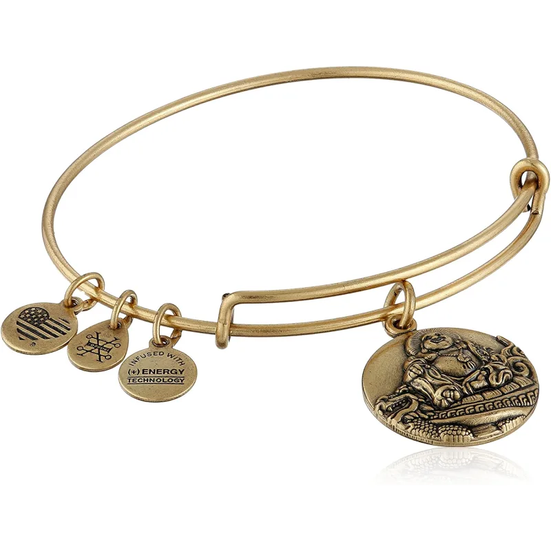 Dámsky Náramok ALEX AND ANI A16EBLBRG (17,5CM )