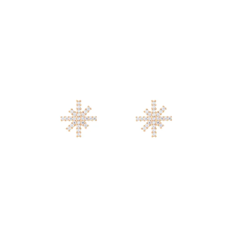 Daniel Wellington Dámske oceľové náušnice Mirelle Star DW00401612