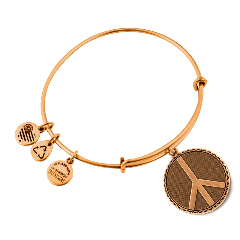 Dámsky Náramok ALEX AND ANI A07EB47RG (19-25CM )