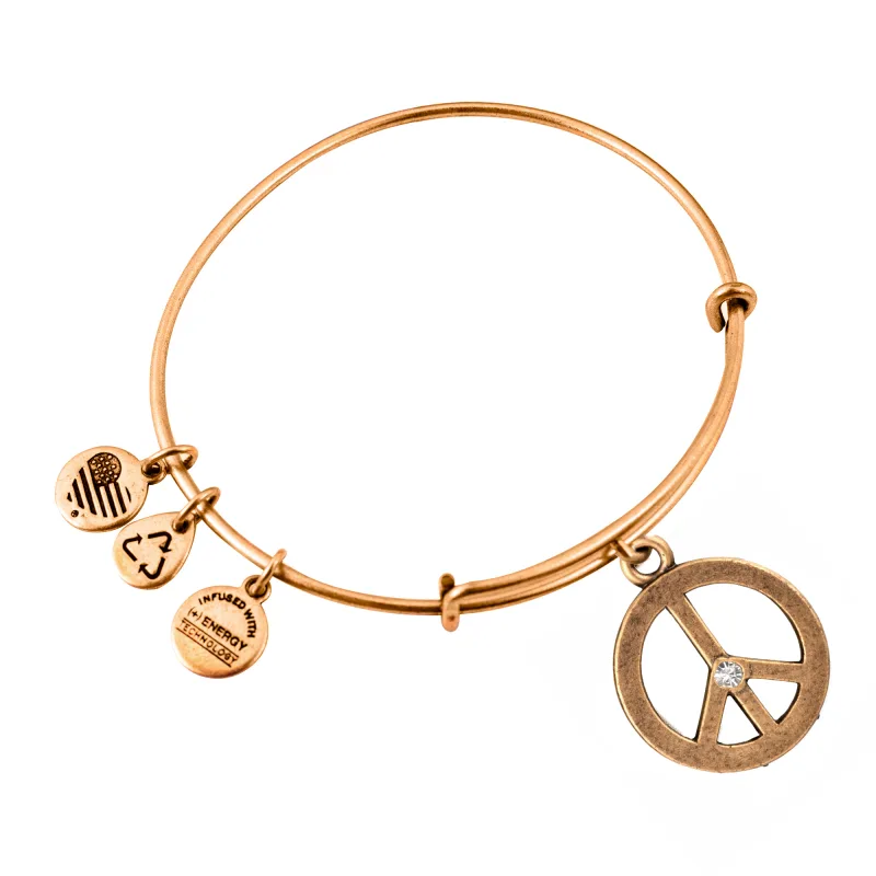 Dámsky Náramok ALEX AND ANI A09EB139RG (19-25CM )