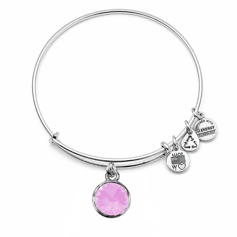Dámsky Náramok ALEX AND ANI A19EB45SS (19CM )
