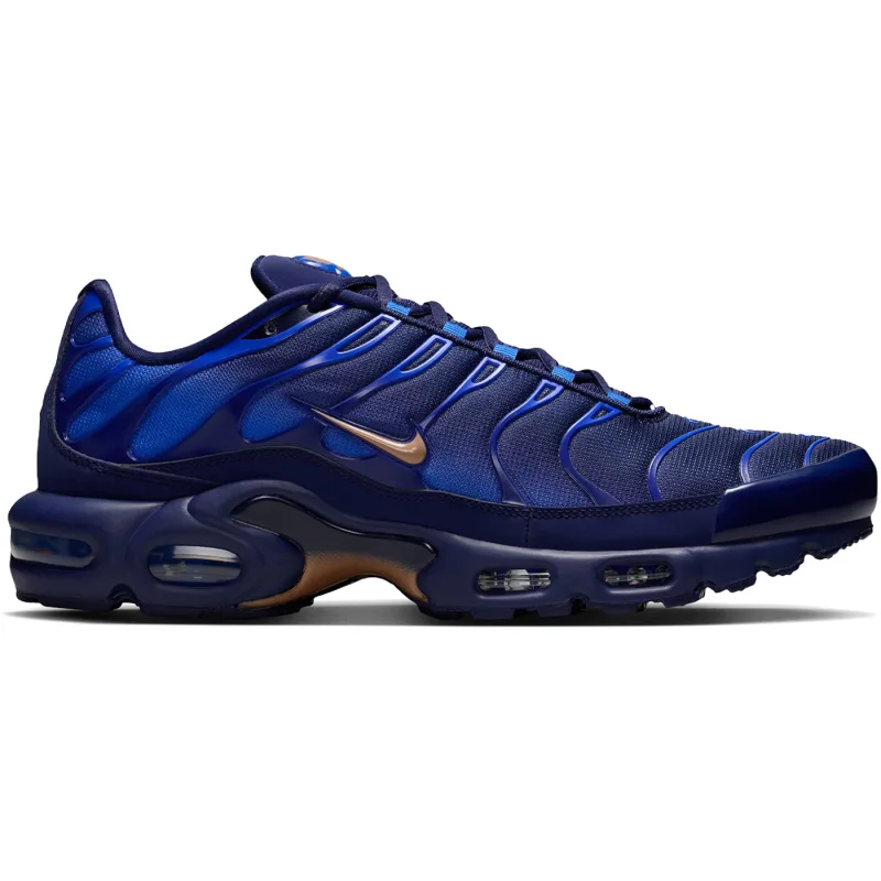 Nike Air Max Plus French Football Federation - 47