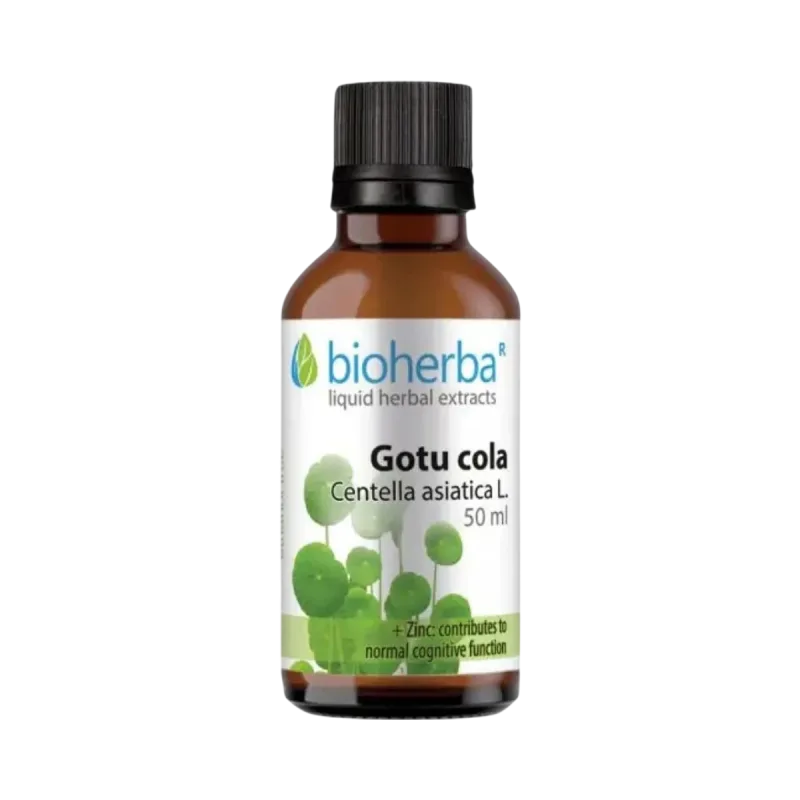 Bioherba Gotu Kola kvapky – tinktúra – 50 ml –