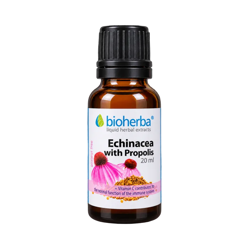 Bioherba Echinacea s propolisom kvapky – tinktúra – 20 ml –