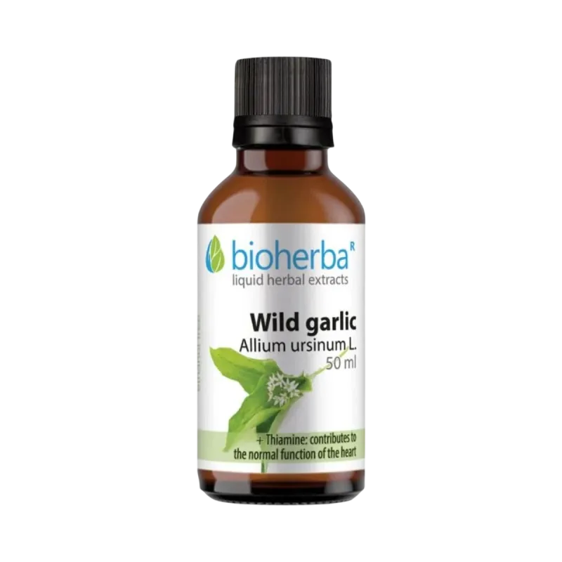 Bioherba Medvedí cesnak kvapky – tinktúra – 50 ml –