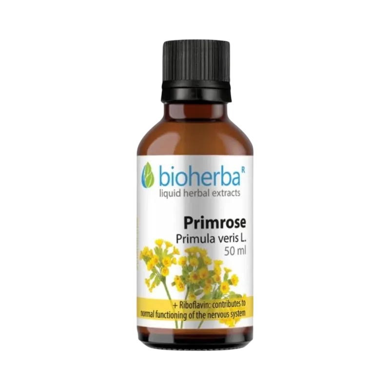 Bioherba Prvosienka (Primula veris) kvapky – tinktúra – 50 ml –