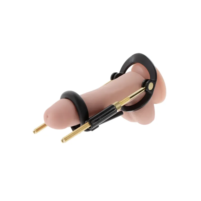 Penis Growth Training Basic Set