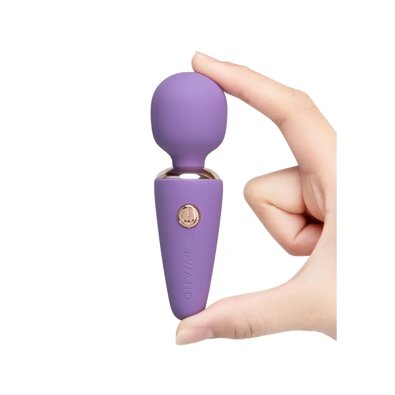 Le Wand Mini Micro Wand