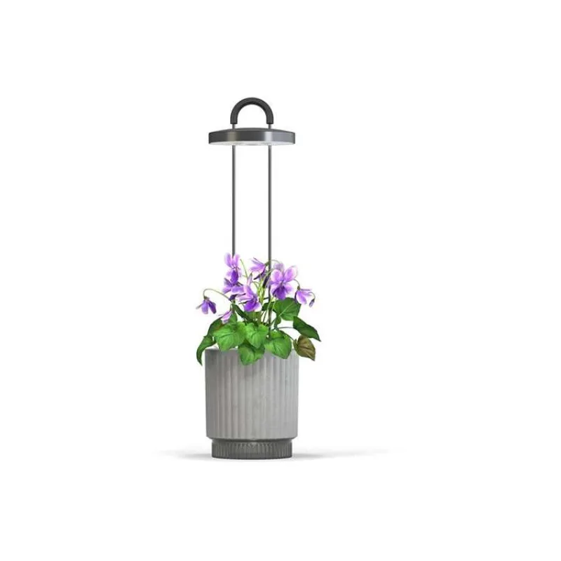 Smart Garden 1 Hydrovase, šedá (PCW-114)