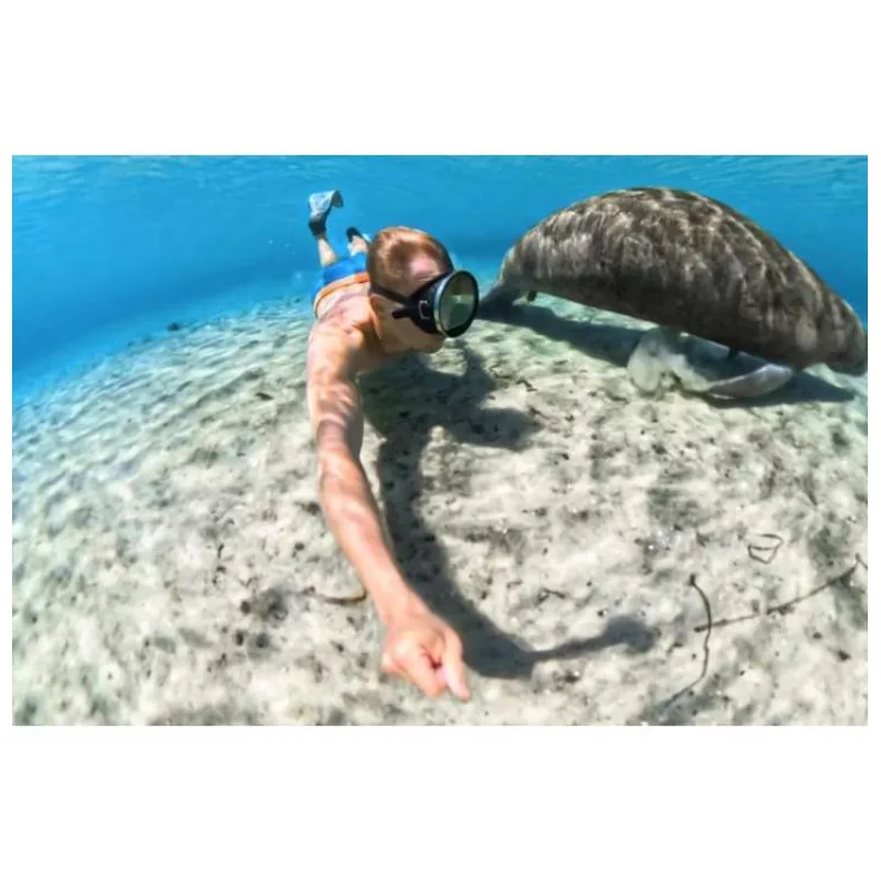 Insta360 X5 podvodní pouzdro (INST750-21)