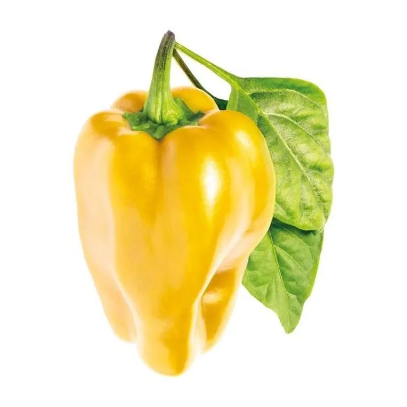 Smart Garden Sladká žltá paprika (PCW-053)