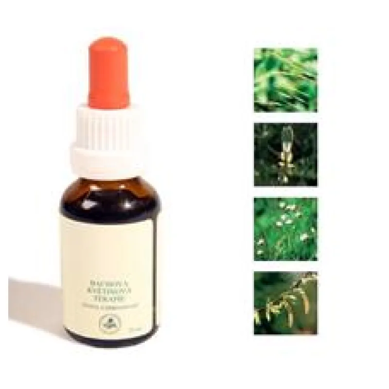 Bachovy kapky - Ochota učit se 25 ml