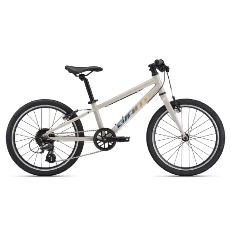 Giant ARX 20"