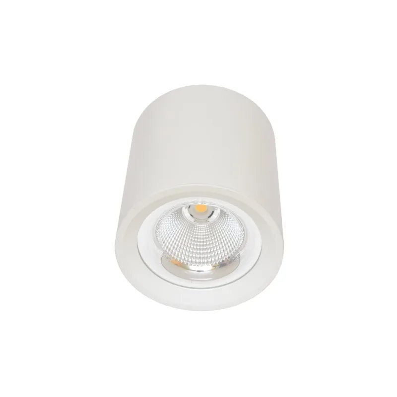 Svietidlo prisadené,COB,30W,4100K,biele
