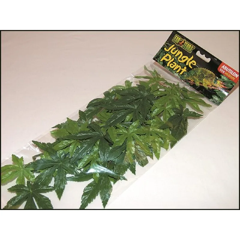 Rastlina EXO TERRA Abuliton stredný 55 cm 1ks