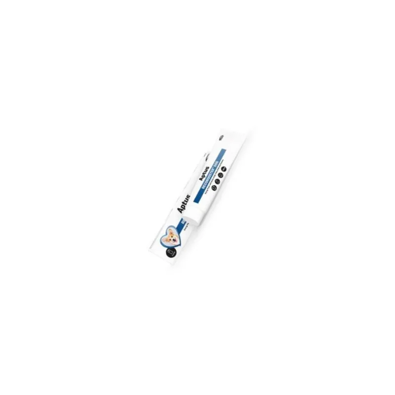 Aptus Recobooster energetická pasta Dog 100g