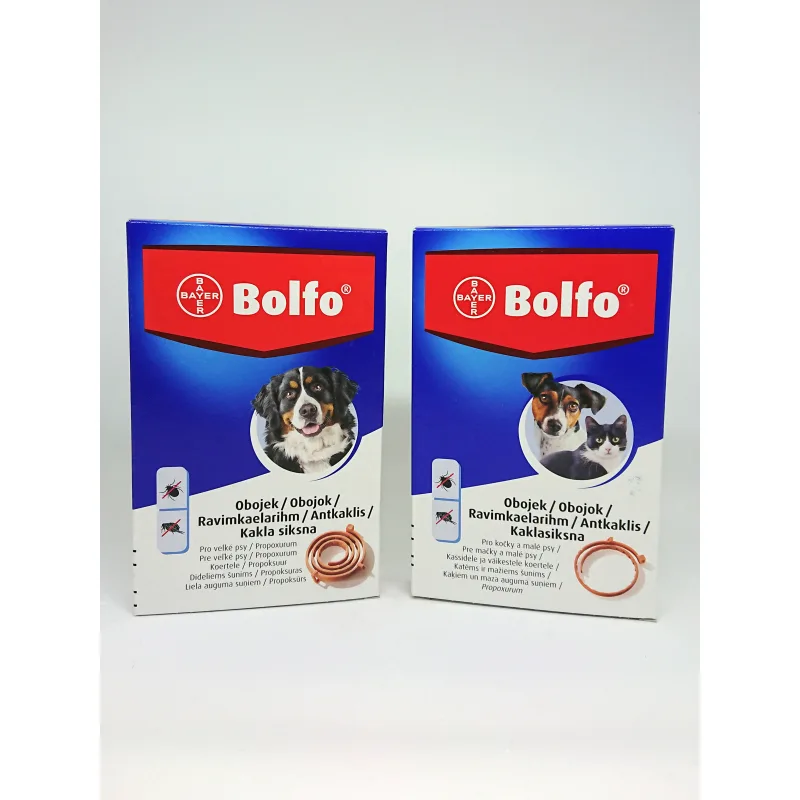 BOLFO OBOJOK