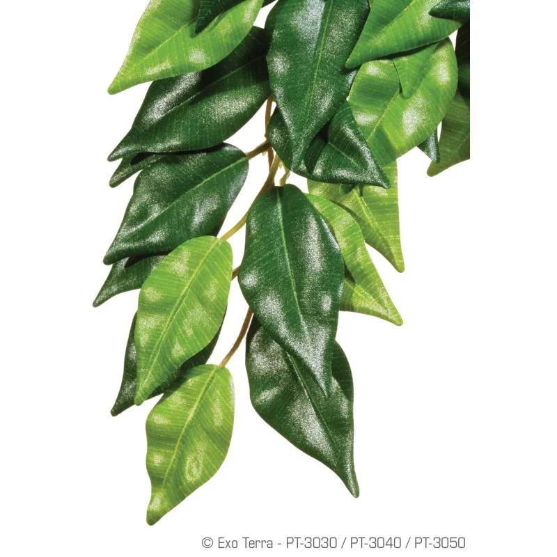 Exo Terra Ficus rastlina malá 45 cm